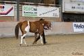 23-APHA SS_004